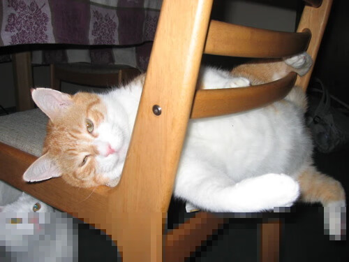 非凡对决，从NBA总决赛到厄瓜多尔战胜马里，胜利在硬仗中淬炼