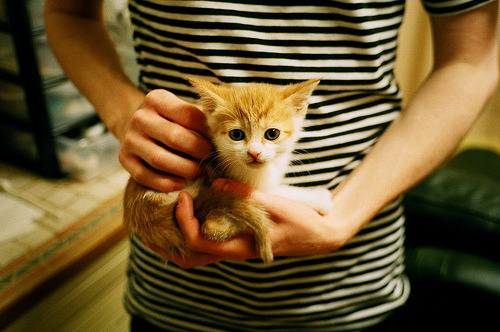 绿茵场的双重奏,当团队铁壁碾过马里,个人数据点燃伯纳乌