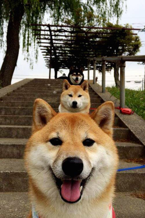 罗马城奇迹夜，维尼修斯临时救火，带队击溃佛罗伦萨