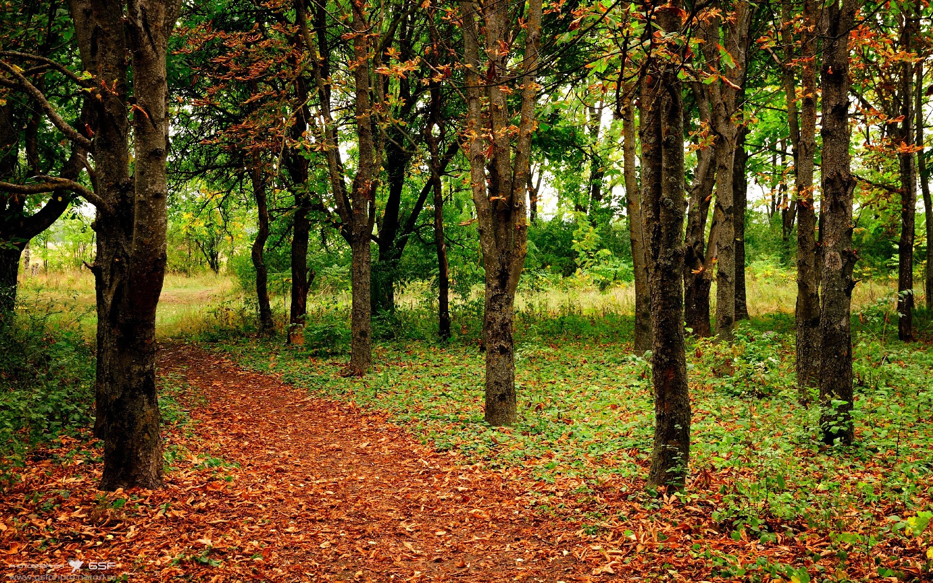 欧冠淘汰赛之夜，乔治的猩红王座与球场的统帅权杖