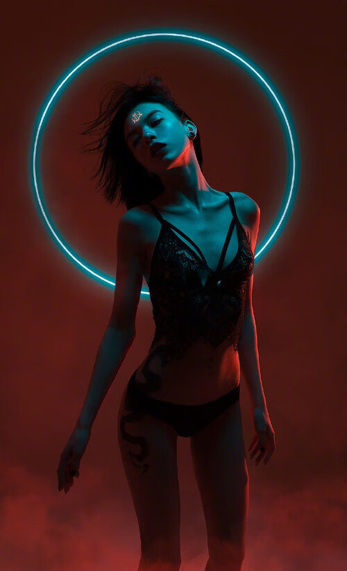 静水流深，约基奇如何重新定义攻防转换，太阳灰熊巅峰对决揭示现代篮球真谛