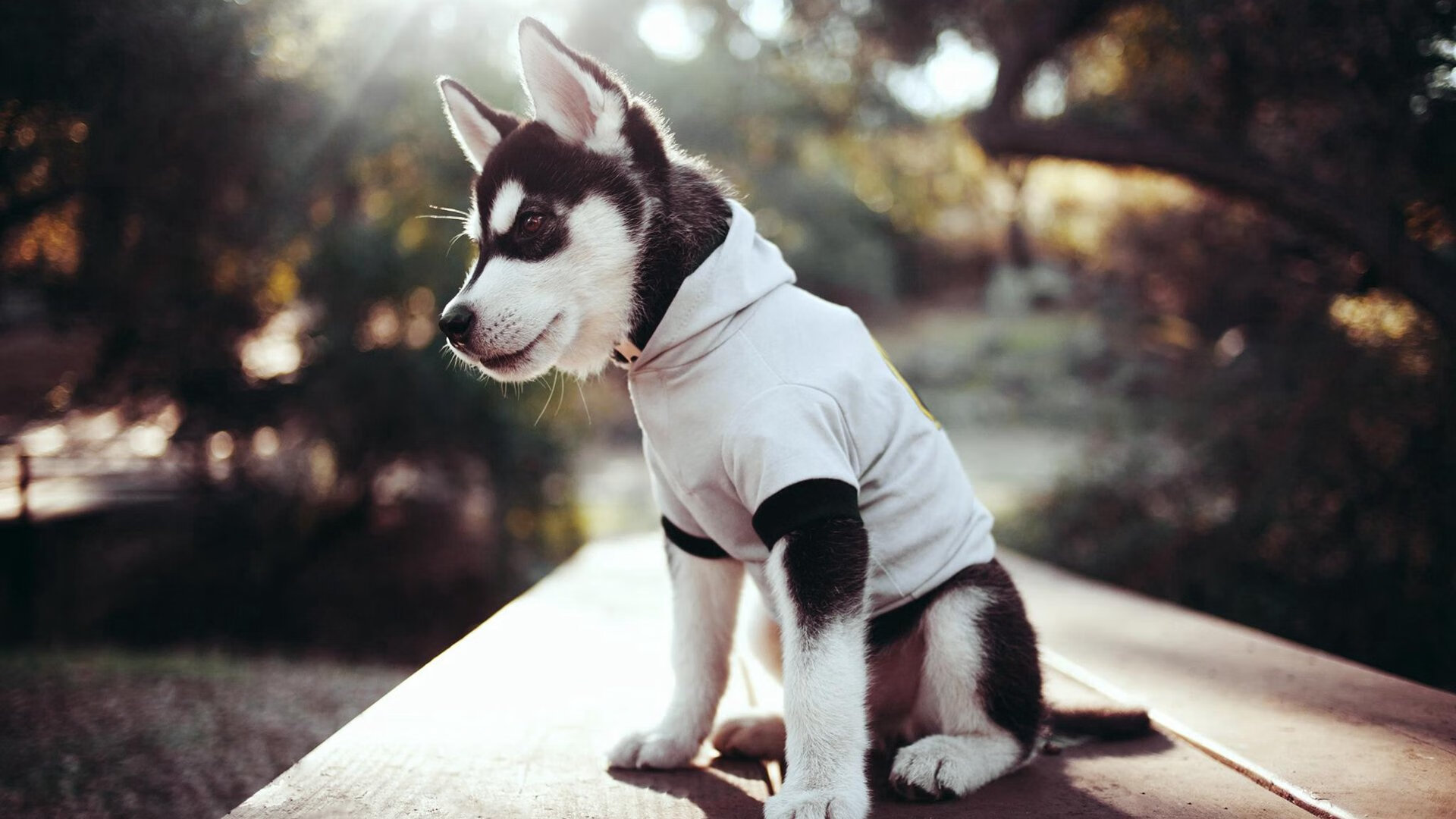 世俱杯参赛资格-圣城新王诞生，39岁保罗末节14分接管比赛，马刺力克尼克斯启示录