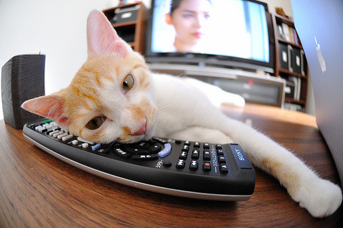 世俱杯决赛-欧冠决赛式对决，猛龙最后时刻绝杀雷霆，焦点战引爆全球体育激情