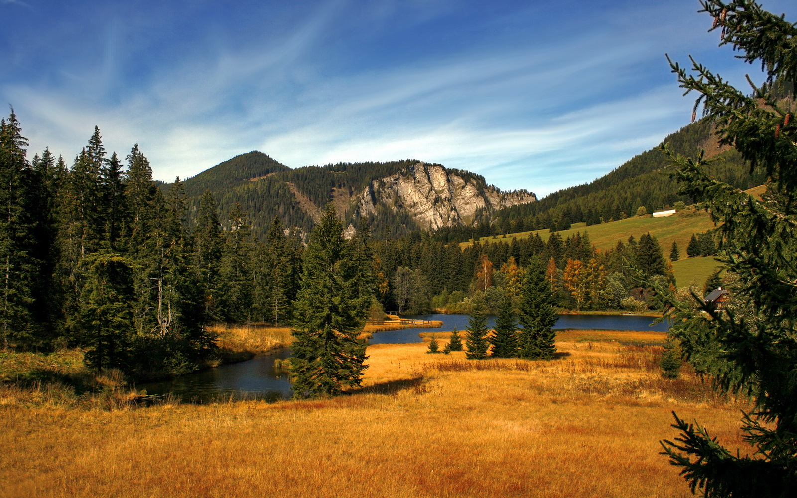 领袖的诞生,从活塞逆袭到塔图姆加冕,关键时刻如何炼成超级巨星?