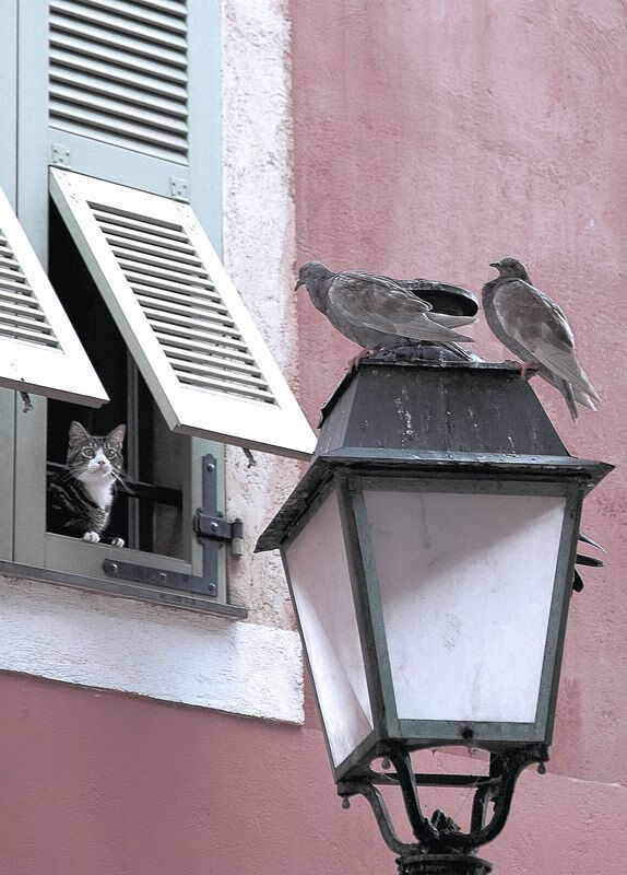 世俱杯分组-当新疆队打出库里南式比赛，一场跨越地域的篮球哲学映照