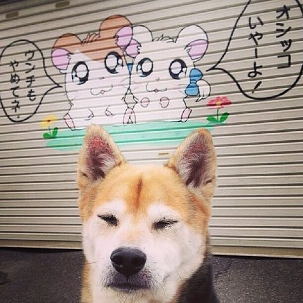 世俱杯时间-科怀·伦纳德，黄蜂对阵雄鹿的胜负手