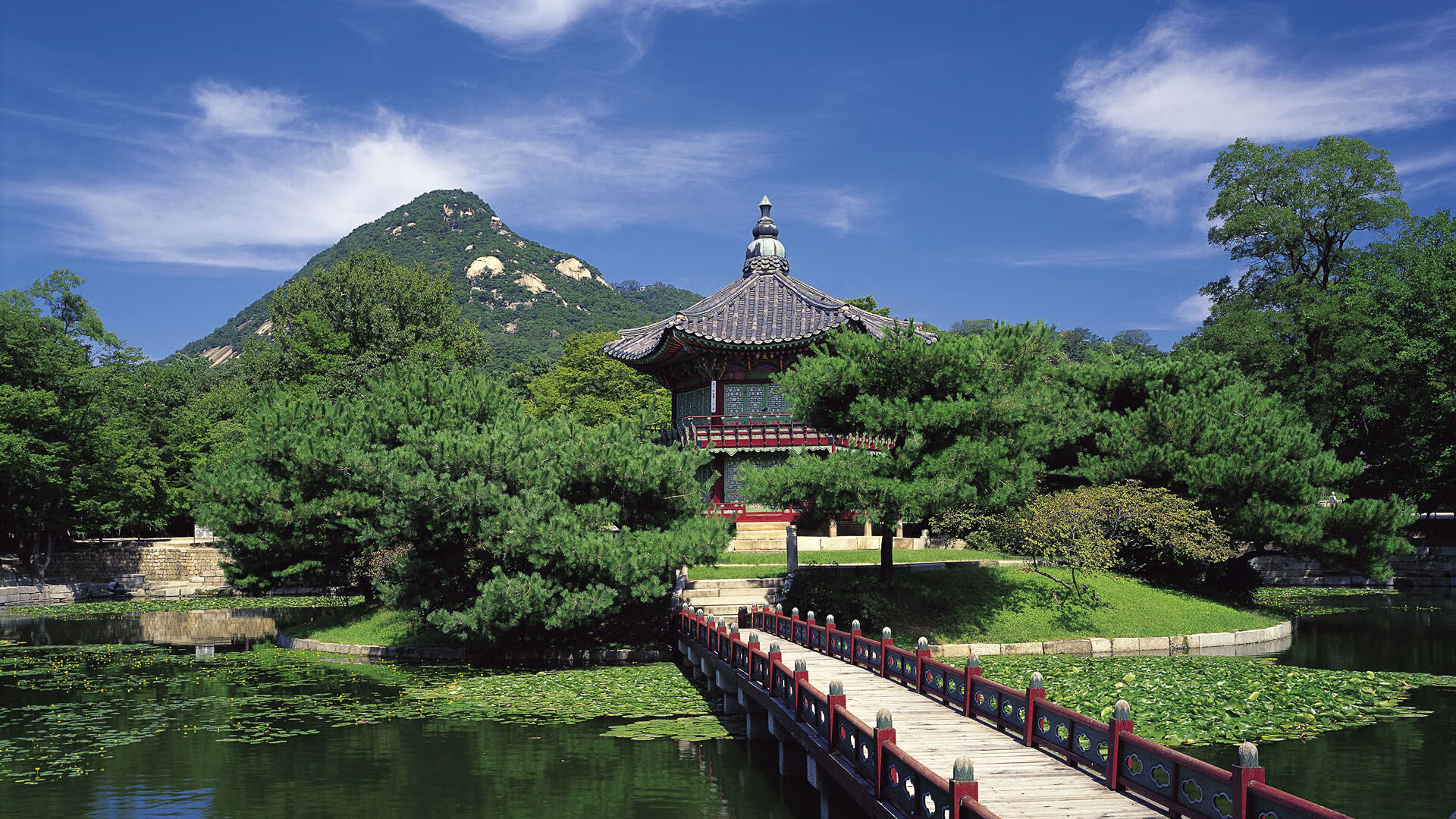 跨洲荣耀，南非横扫日本与格列兹曼的英超争霸时刻