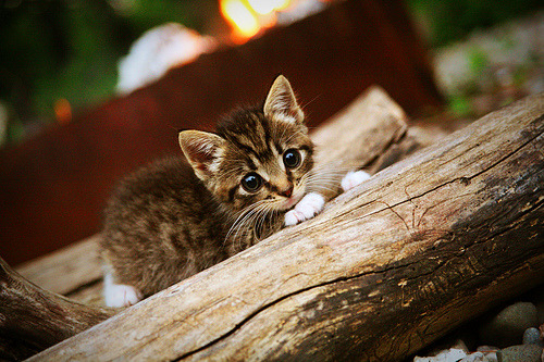 铁血军团逆袭，当精密仪器碾碎华丽艺术，爵士淘汰勇士的篮球启示录