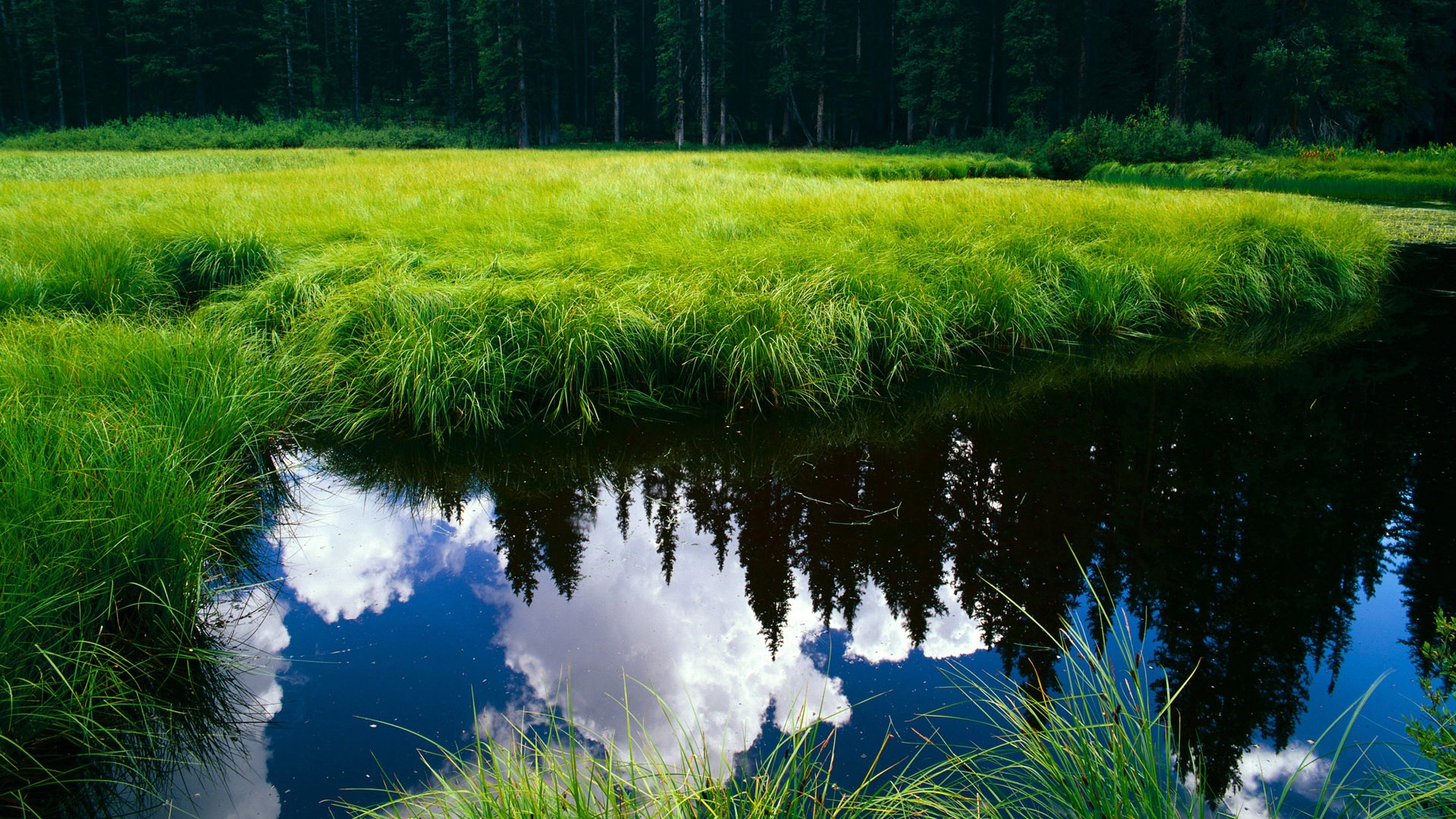 皮克全程高能输出，丹麦硬仗取胜贝蒂斯，一场战术与毅力的对决