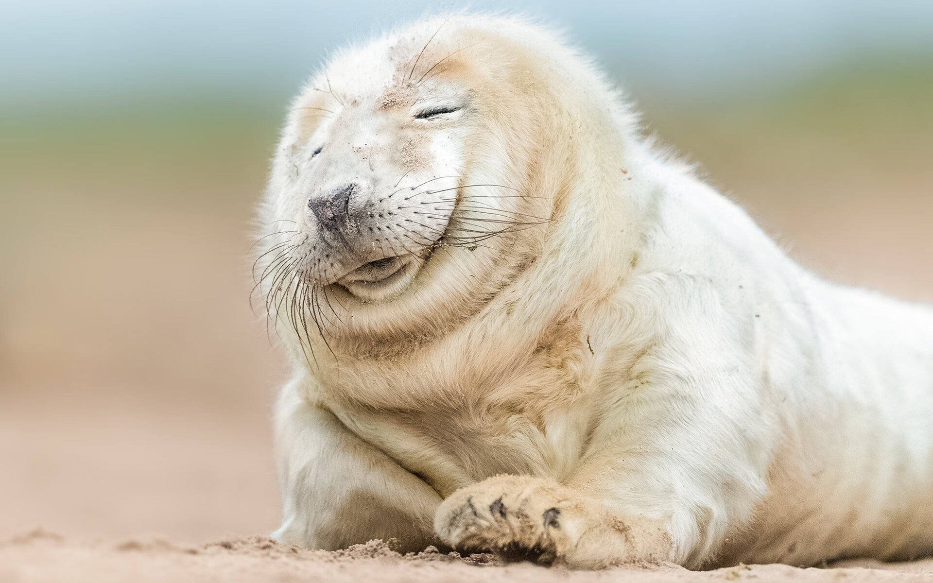 沉默刺客的审判时刻，德罗赞关键连续得分引领篮网碾压魔术