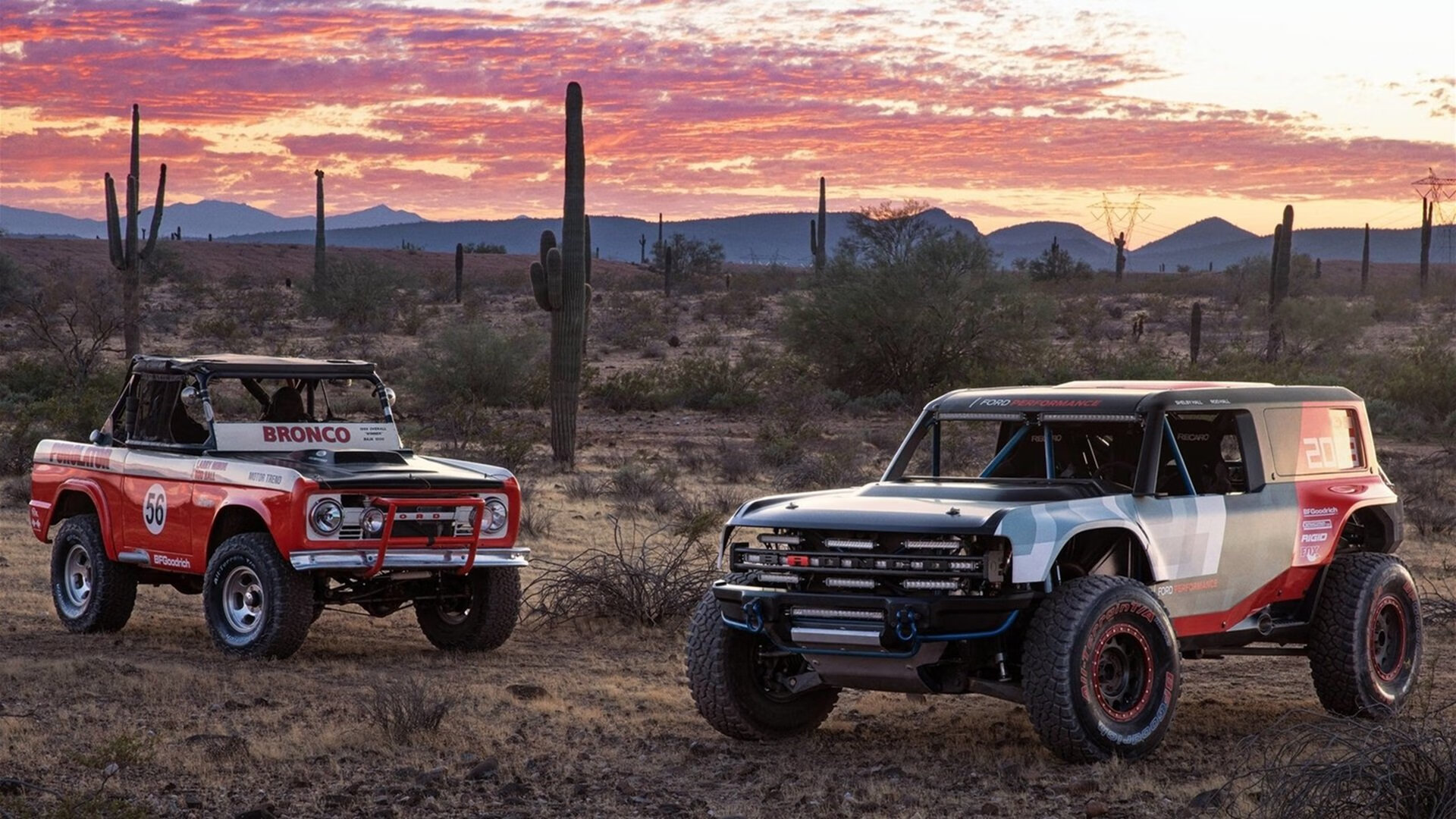 京多安的节奏魔法，当波兰的冷峻逻辑驯服几内亚的灼热野性