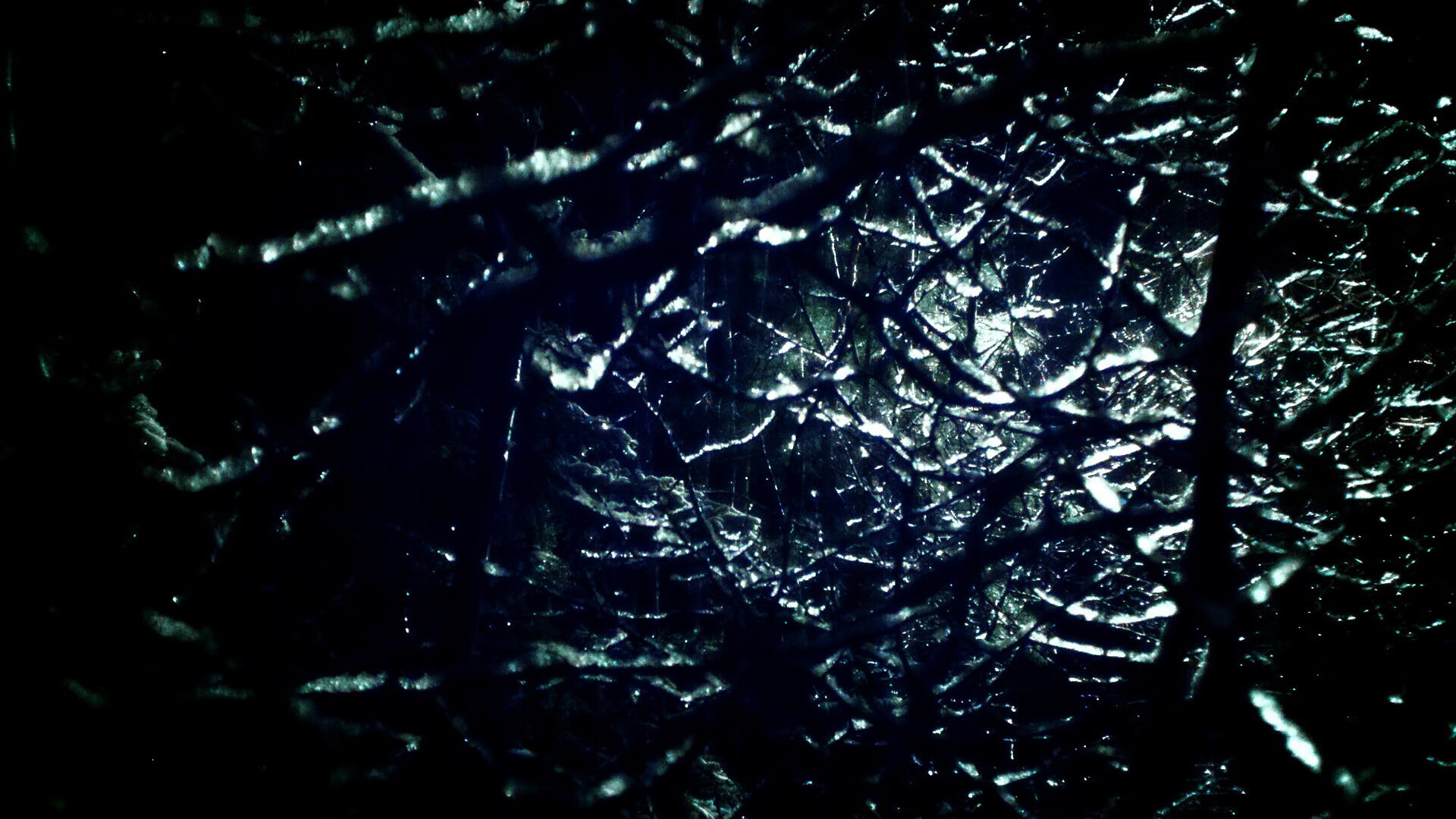 京多安的节奏魔法，当波兰的冷峻逻辑驯服几内亚的灼热野性