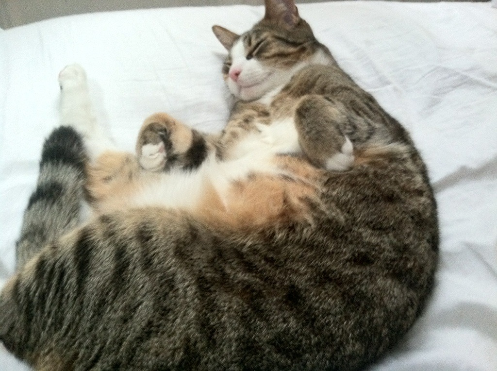 光影撕裂巴黎之夜，内马尔用魔法定义欧冠淘汰赛