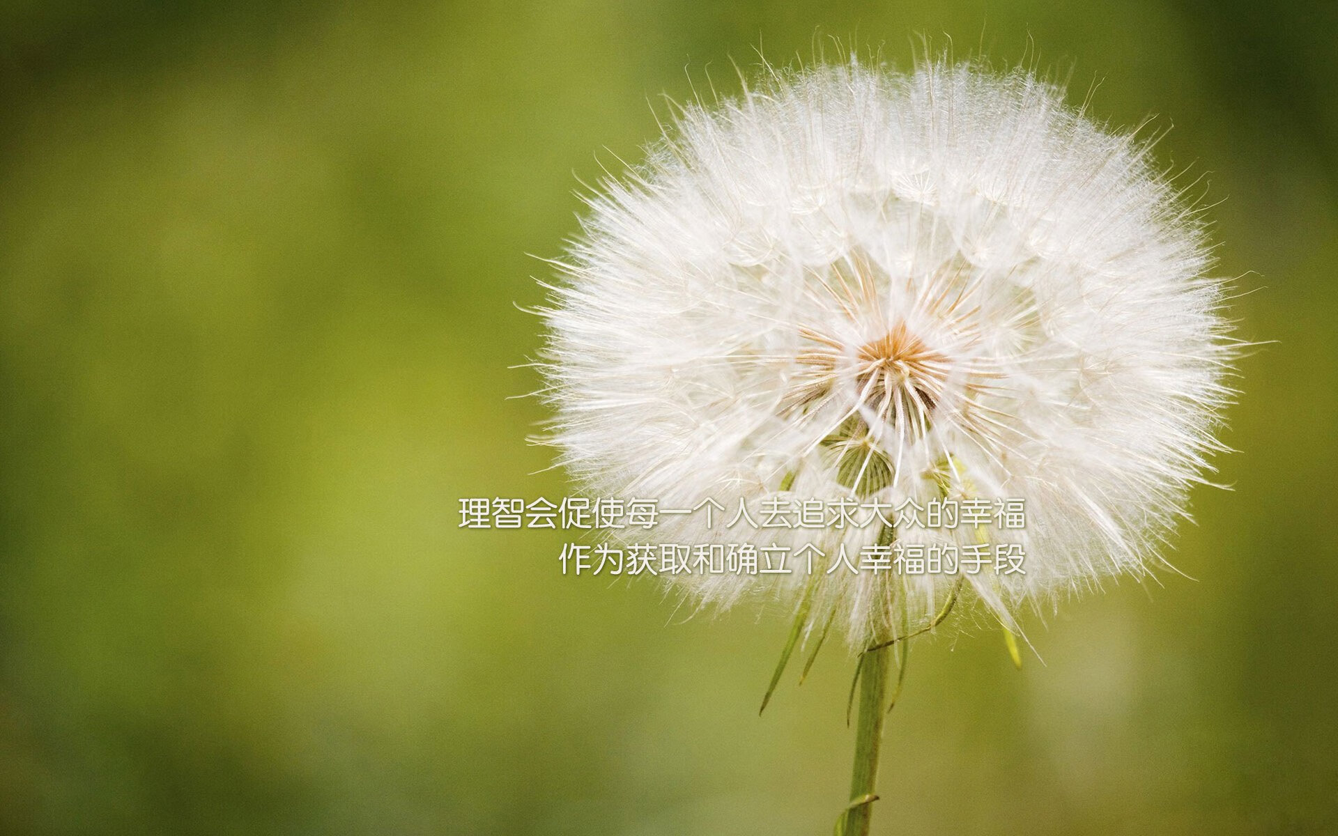 阿劳霍铁血封喉，乌拉圭高压风暴碾碎土耳其防线