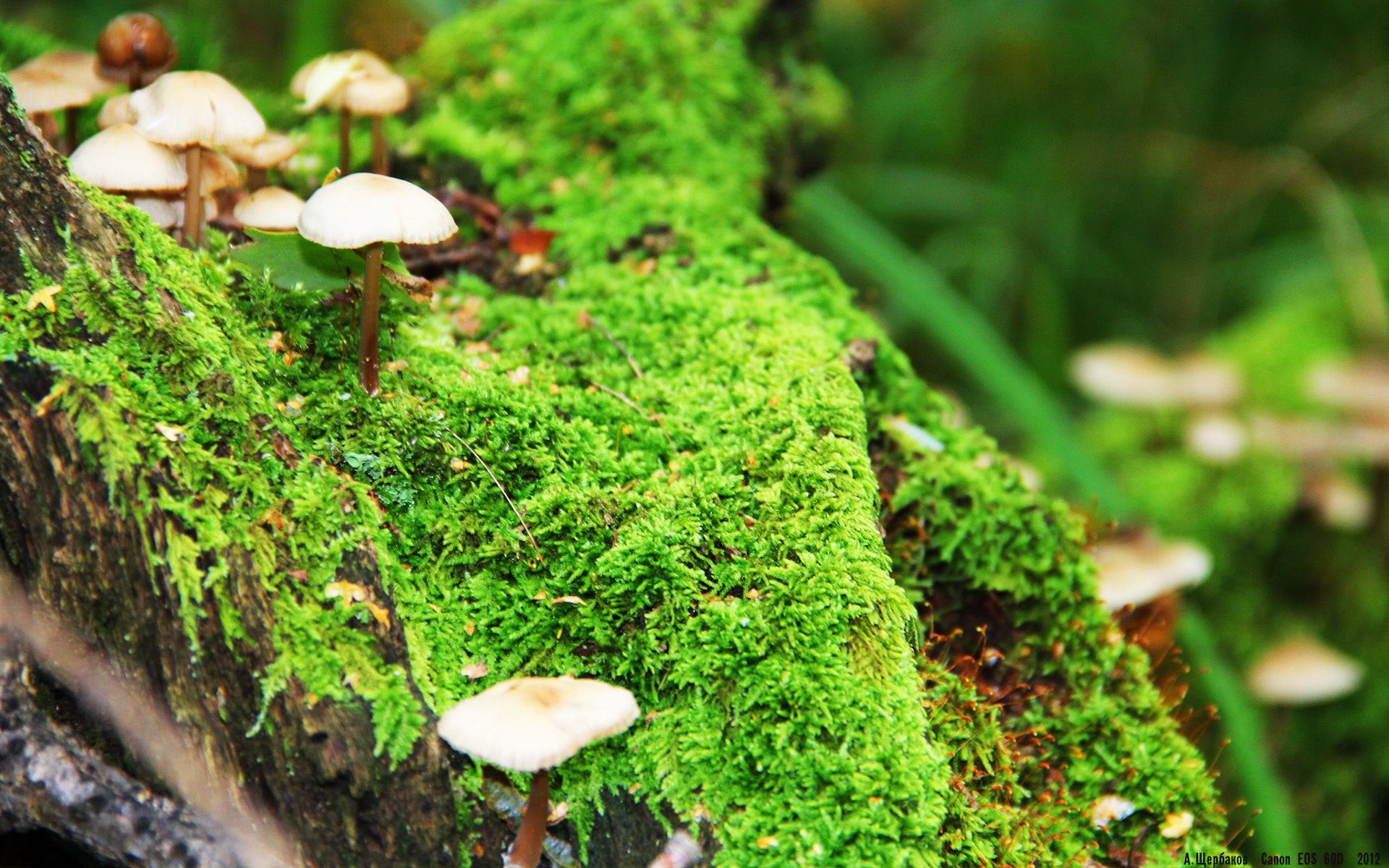 逆袭之战！小贾伦临危救主，山西队加时险胜雷霆