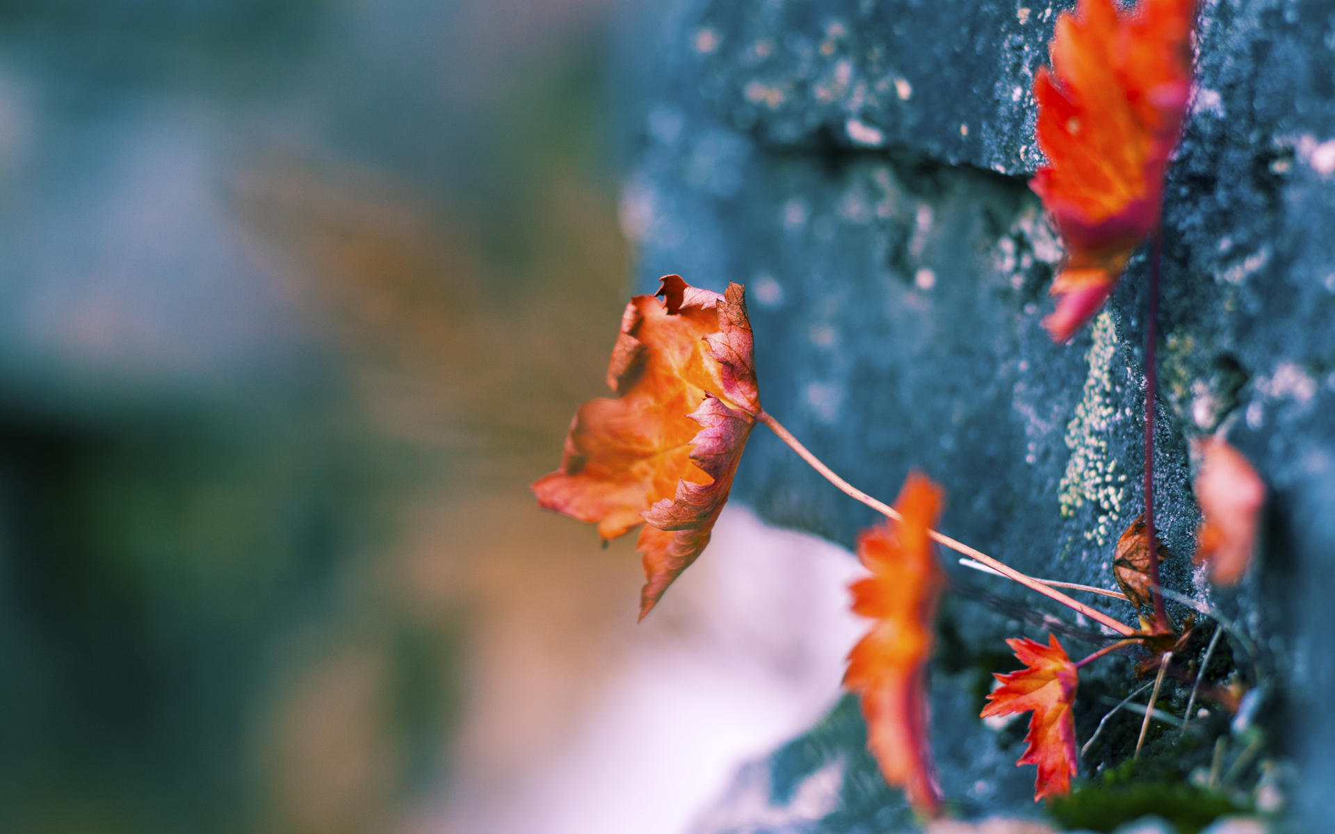 丝绒手套里的铁腕,当西班牙的全面压制遇上若日尼奥的扛鼎之力
