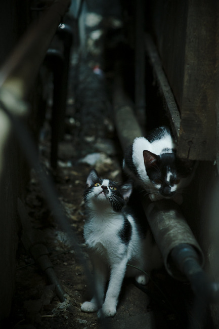 世俱杯赛程-萨卡一锤定音，伊拉克力克希腊迎出线曙光