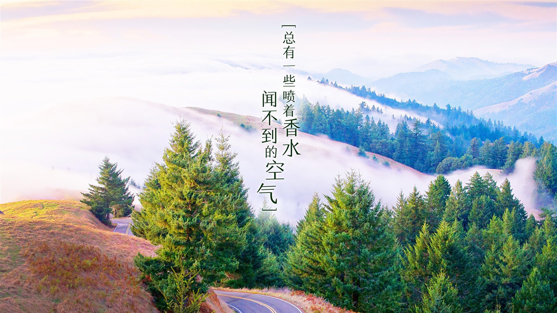 世俱杯直播-绝杀时刻，格列兹曼闪耀，西班牙2:1力克喀麦隆锁定H组头名