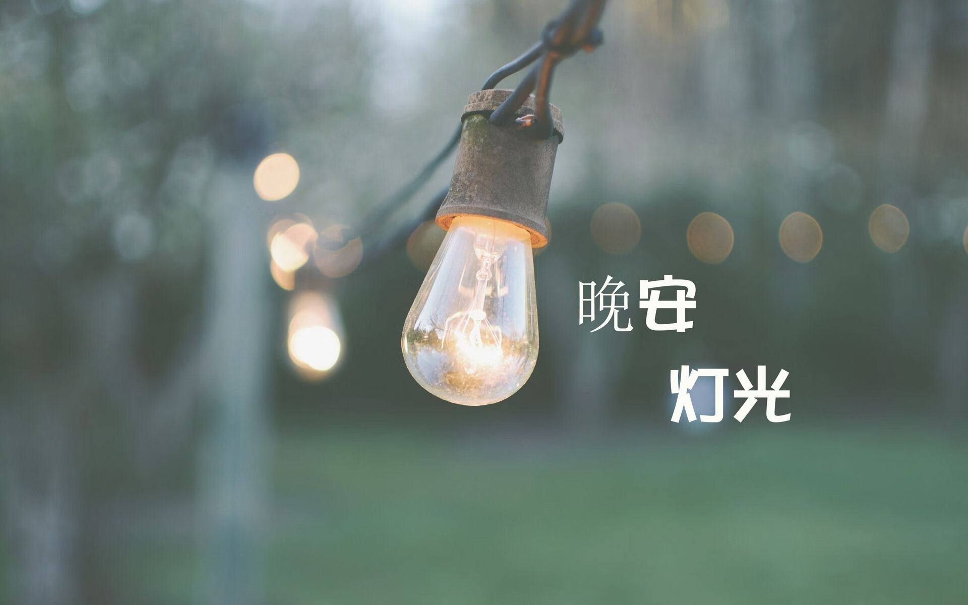 橙衣军团横扫千军，荷兰力克加纳，卢卡库闪耀2026世界杯B组巅峰对决